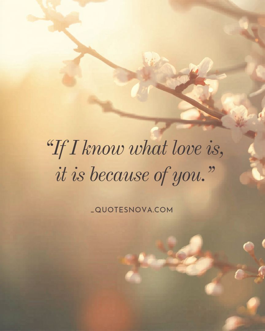 If I know what love is, it is because of you.